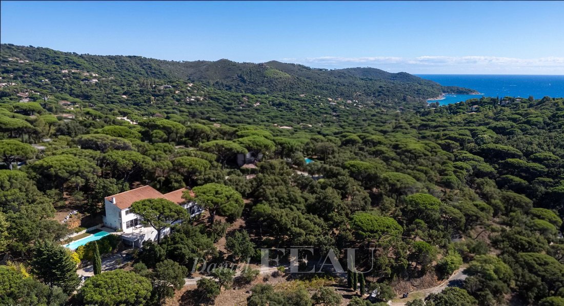 Estate in La Croix-Valmer, Provence-Alpes-Côte d'Azur, France 1 - 16272488