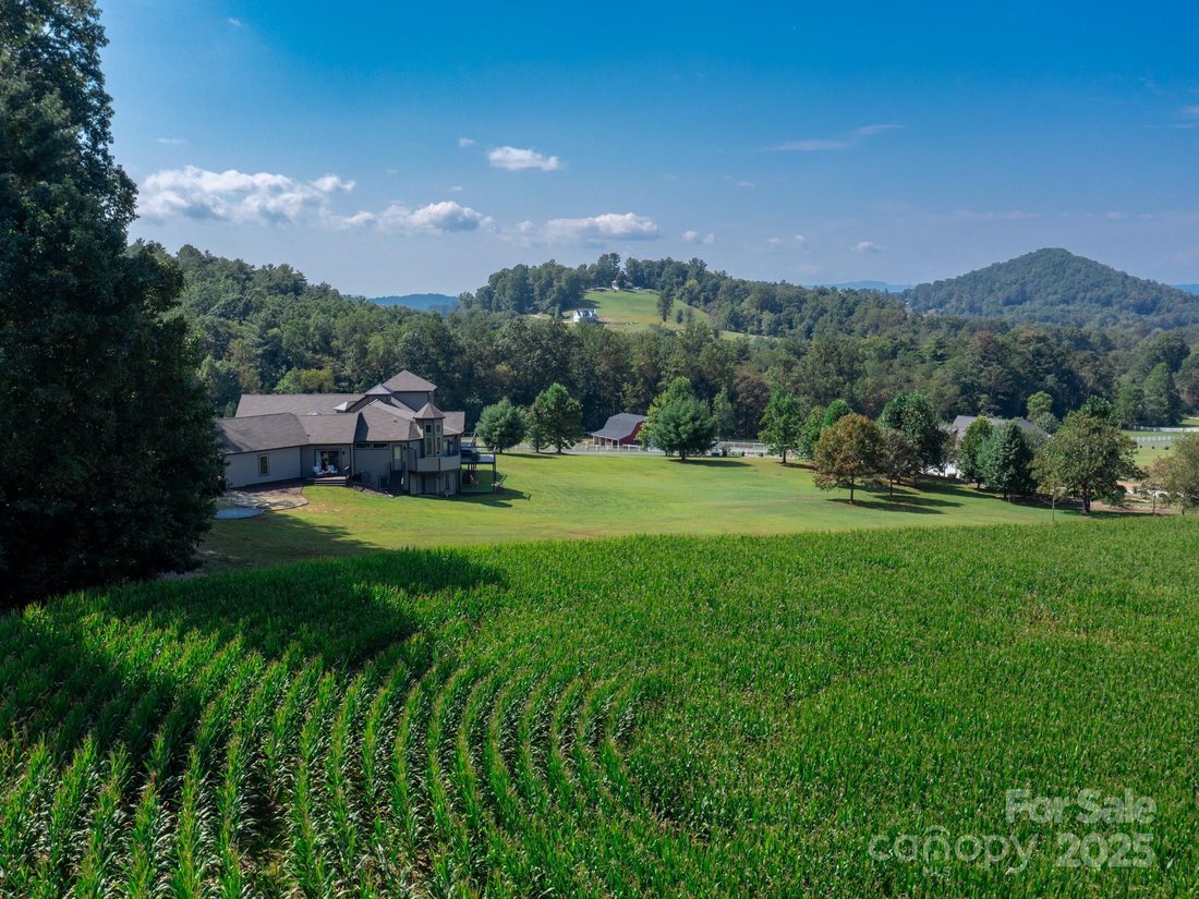 House in Hendersonville, North Carolina, United States 5 - 16276896
