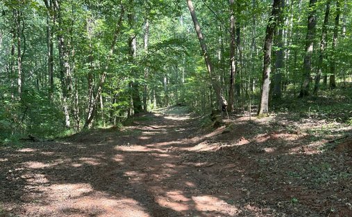 Land in Madison, Georgia, United States 1