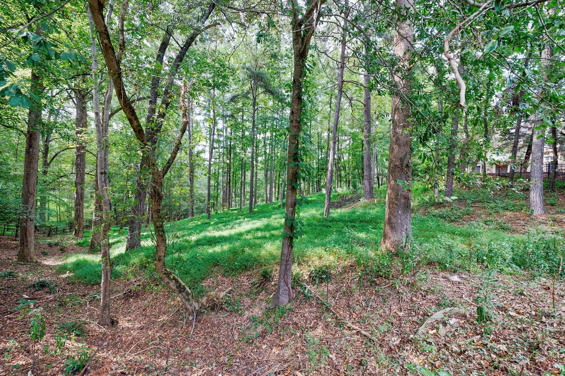 Land in Milton, Georgia, United States 4 - 16275634