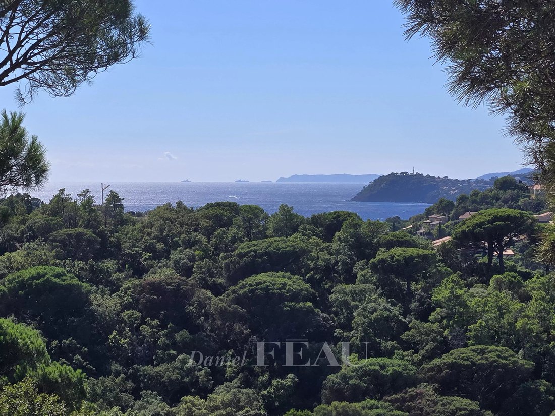 Estate in La Croix-Valmer, Provence-Alpes-Côte d'Azur, France 3 - 16272488