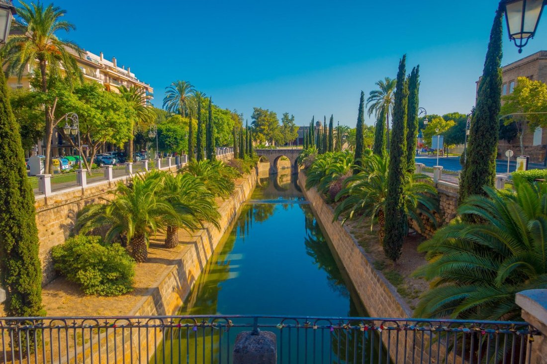 Apartment in Palma, Balearic Islands, Spain 3 - 16270351