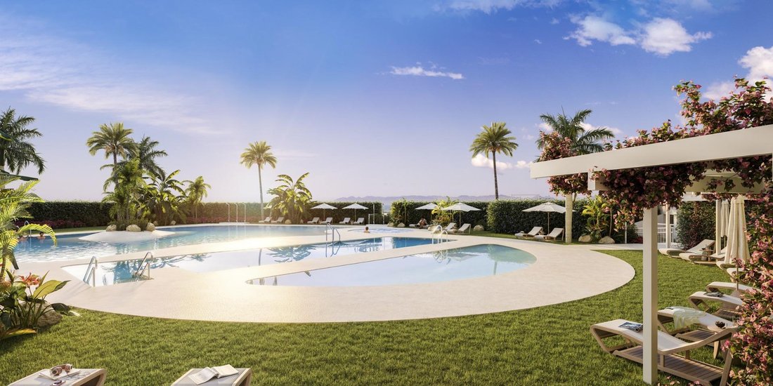Apartment in la Vila Joiosa / Villajoyosa, Valencian Community, Spain 4 - 16272664