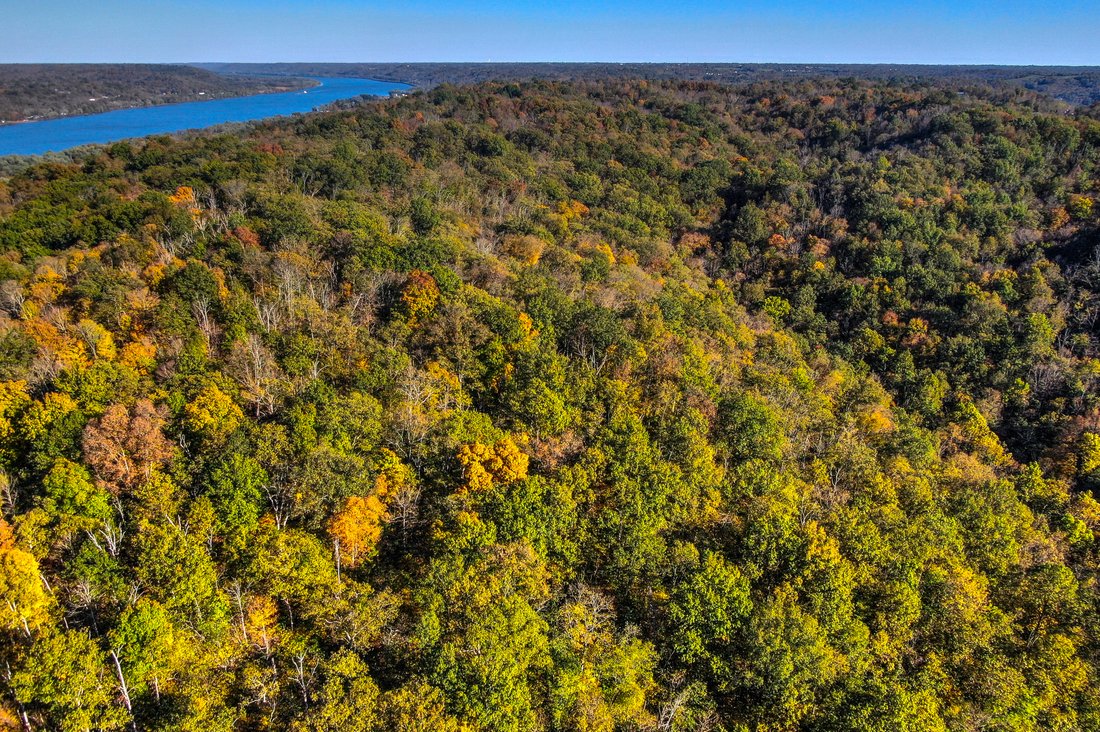 Land in Foster, Kentucky, United States 1 - 16277510