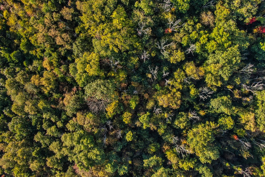 Land in Foster, Kentucky, United States 3 - 16277510