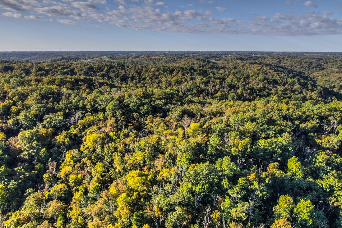 Land in Foster, Kentucky, United States 2 - 16277510