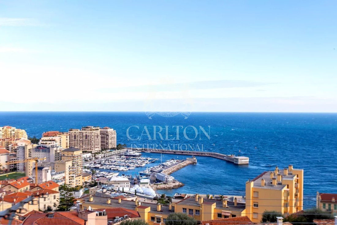 Apartment in Cap-d'Ail, Provence-Alpes-Côte d'Azur, France 1 - 16277603