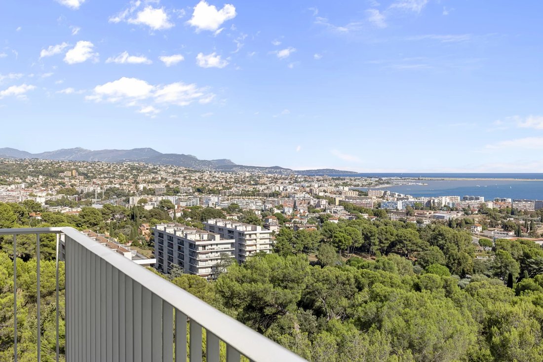 Apartment in Saint Veran, Cagnes-sur-Mer, France 3 - 16277588