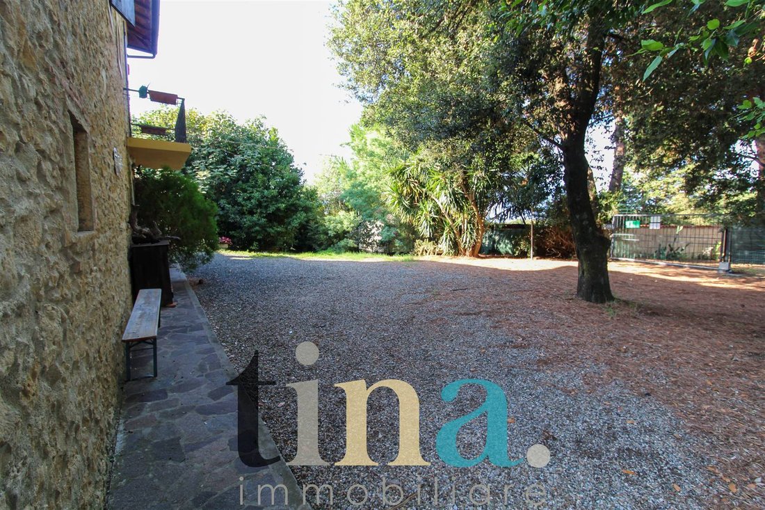 Country House in Guardistallo, Tuscany, Italy 5 - 16277684