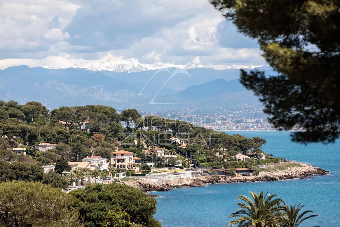 Villa in Antibes, Provence-Alpes-Côte d'Azur, France 4 - 16277688