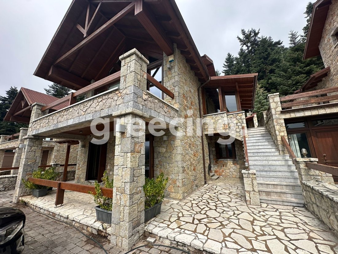 House in Arachova, Thessaly and Central Greece, Greece 1 - 14849392