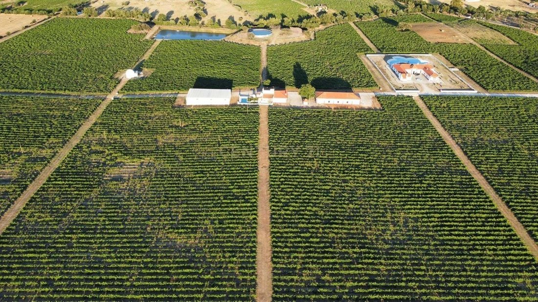 Farm Ranch in Redondo, Évora District, Portugal 2 - 15428336