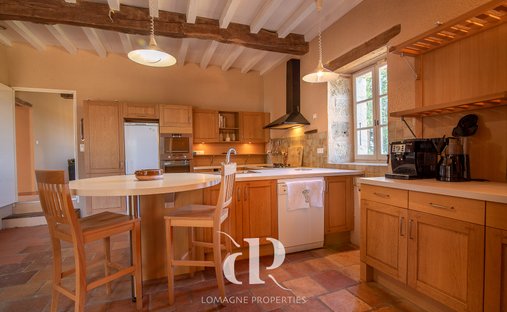 Château Vic Fezensac 503.14 Sqm 9 Rooms