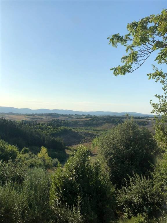 Colle di Val d'Elsa, Tuscany, Italy 2 - 16279412