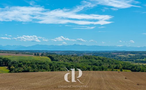 Château Vic Fezensac 503.14 Sqm 9 Rooms