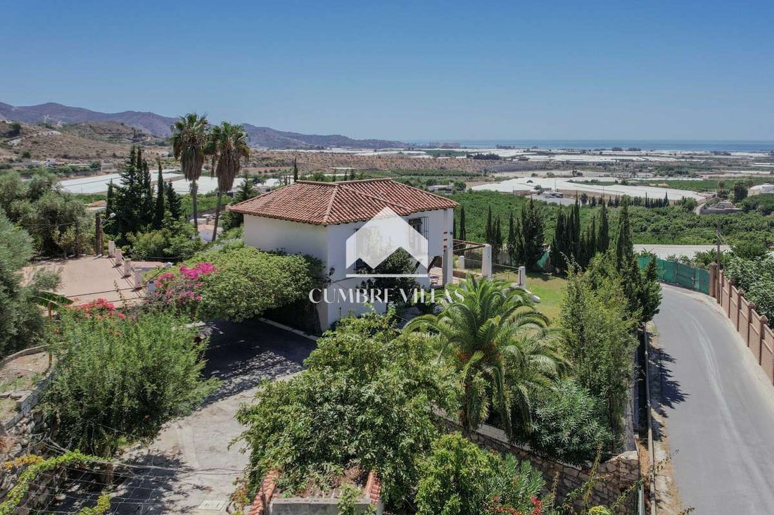 Country House in Motril, Andalusia, Spain 3 - 16279111