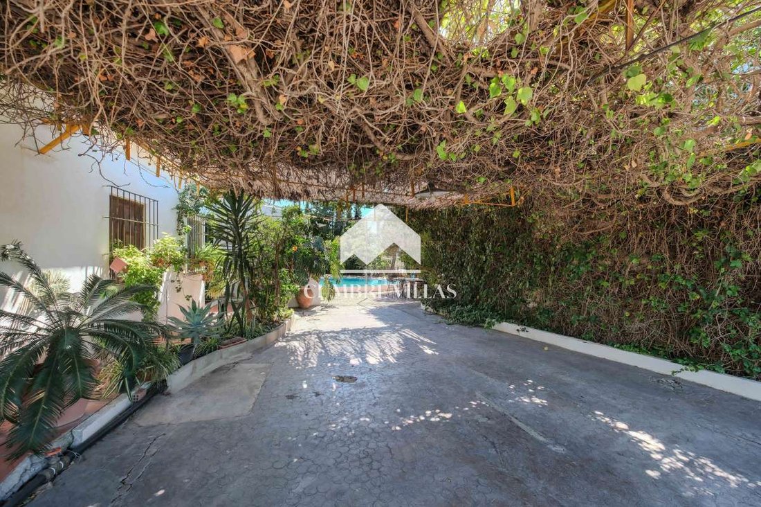 Country House in Motril, Andalusia, Spain 5 - 16279111