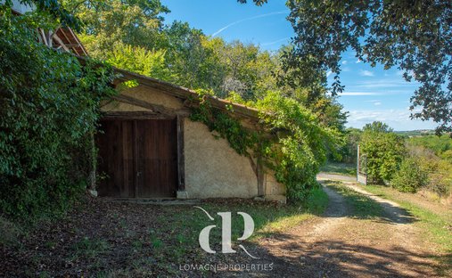 Château Vic Fezensac 503.14 Sqm 9 Rooms