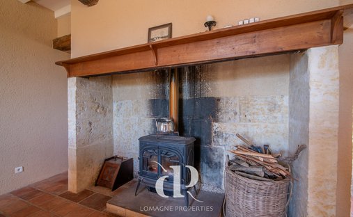 Château Vic Fezensac 503.14 Sqm 9 Rooms