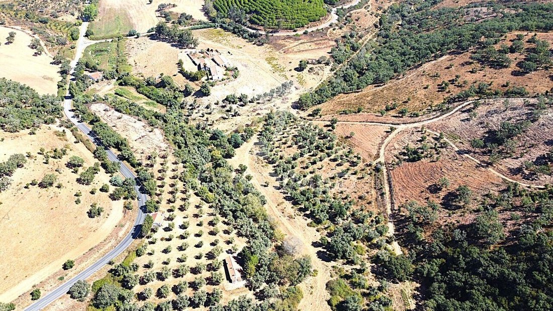 Farm Ranch in Sao Salvador e Santa Maria, Beja District, Portugal 1 - 16281259