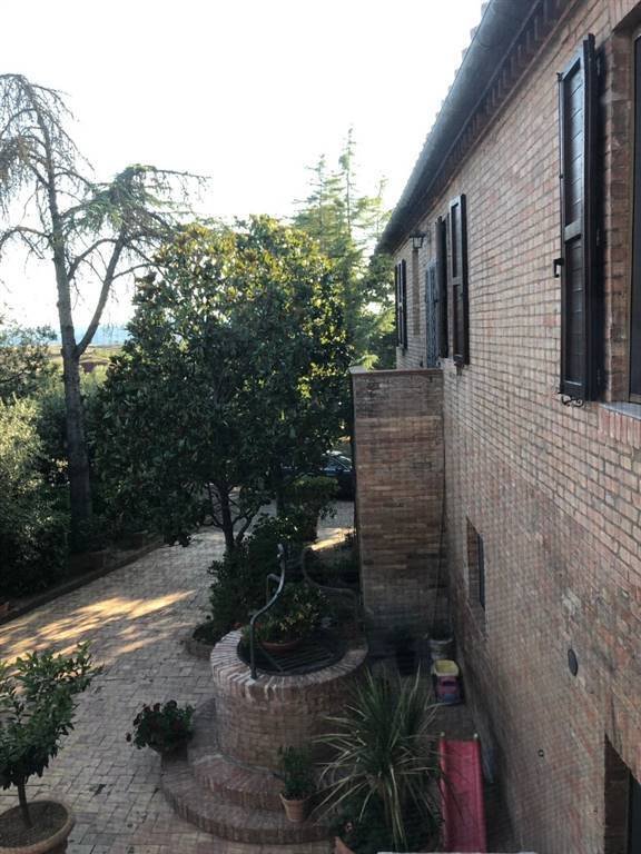Colle di Val d'Elsa, Tuscany, Italy 3 - 16279412