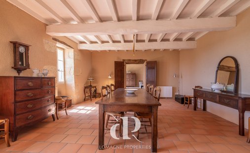 Château Vic Fezensac 503.14 Sqm 9 Rooms