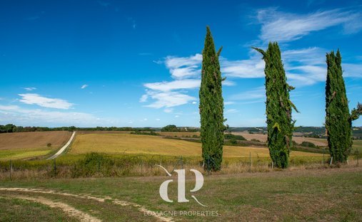 Château Vic Fezensac 503.14 Sqm 9 Rooms