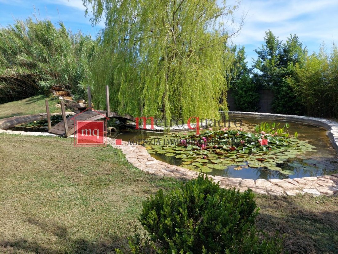 San Frediano a Settimo, Cascina, Tuscany 5 - 16279563