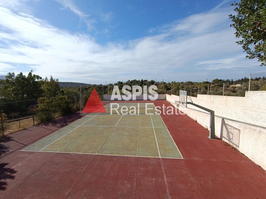 House in Kropia, Attica, Greece 4 - 16280363