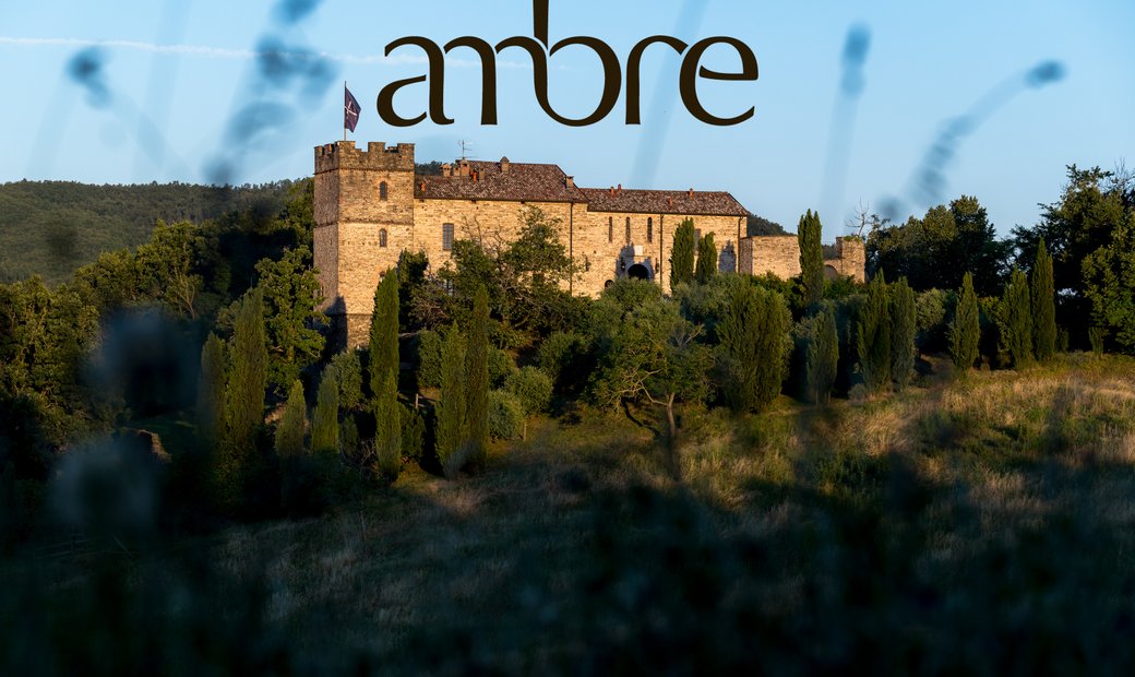 Castle for Sale in Vicini-Ravazzoli, Emilia-Romagna, Italy