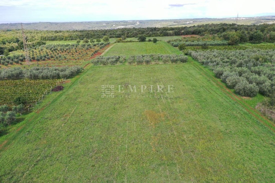 Land in Tar, Istria County, Croatia 4 - 16281233