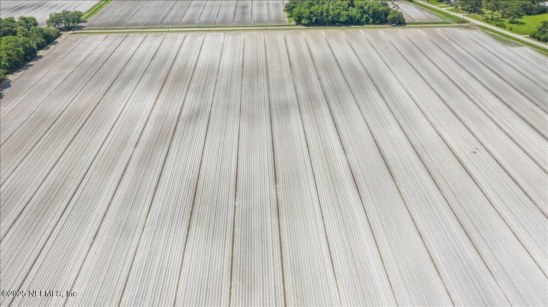 Land in East Palatka, Florida, United States 5 - 16281373