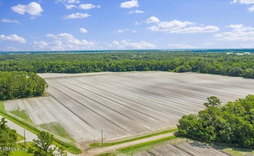 Land in East Palatka, Florida, United States 1