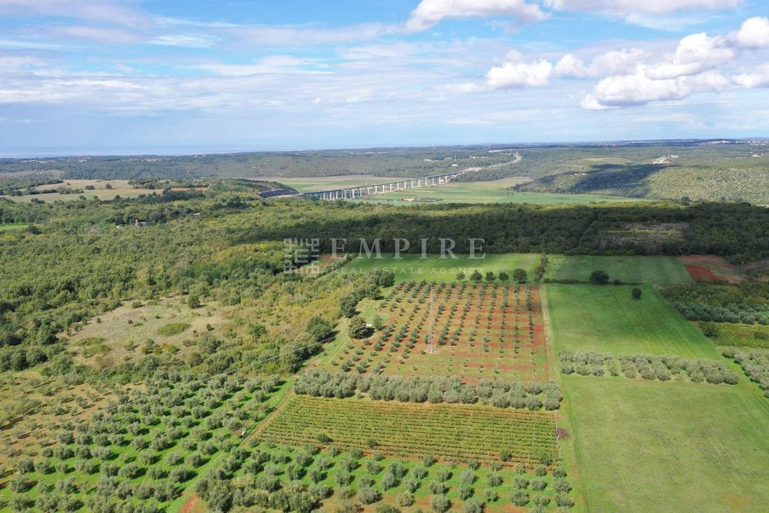 Land in Tar, Istria County, Croatia 3 - 16281233