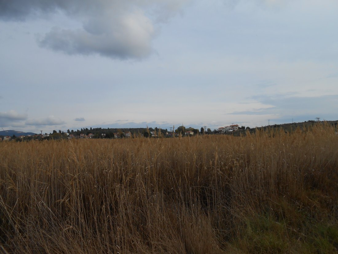 Rancho en Aristotle, Macedonia and Thrace, Grecia 5 - 16282571