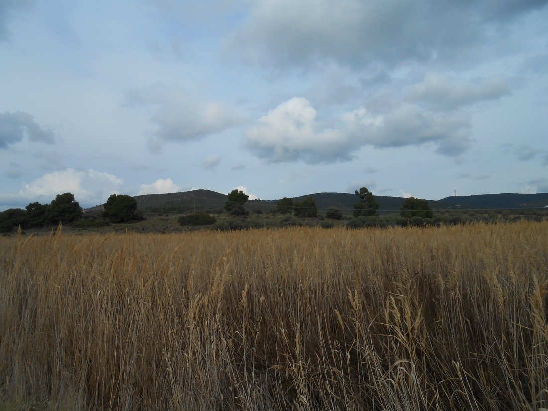 Rancho en Aristotle, Macedonia and Thrace, Grecia 4 - 16282571