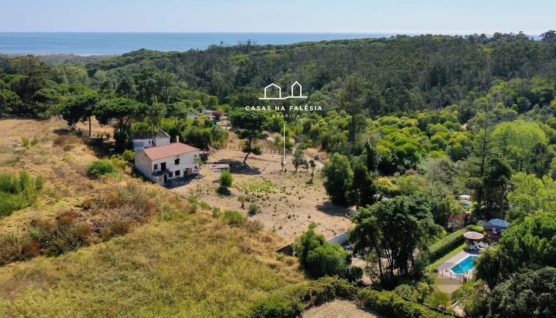 Land in Charneca de Caparica e Sobreda, Setubal, Portugal 1 - 16285293