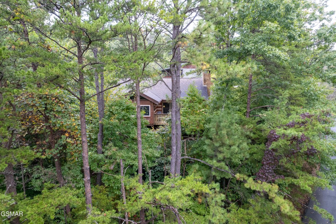 House in Gatlinburg, Tennessee, United States 1 - 16283006