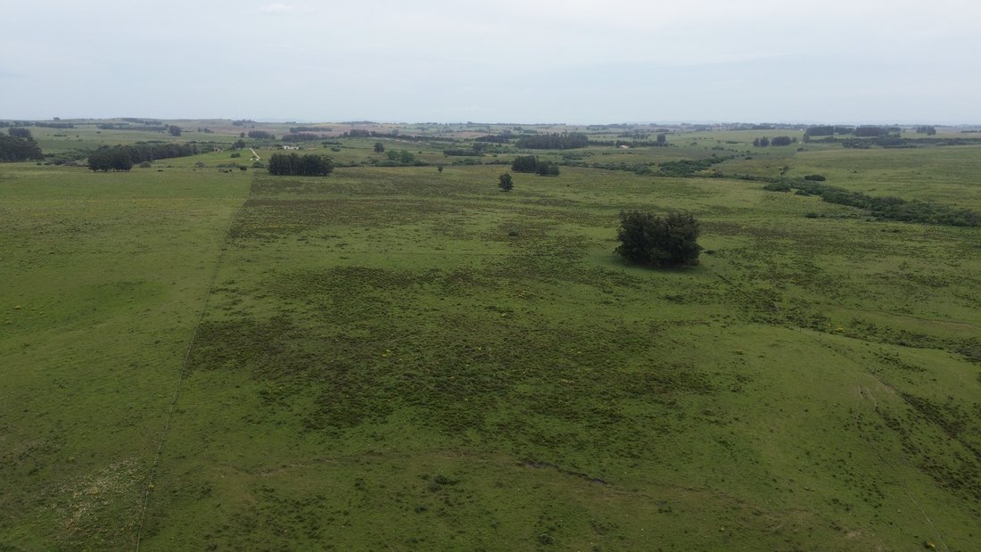 Land in San Carlos, Maldonado Department, Uruguay 4 - 16283750