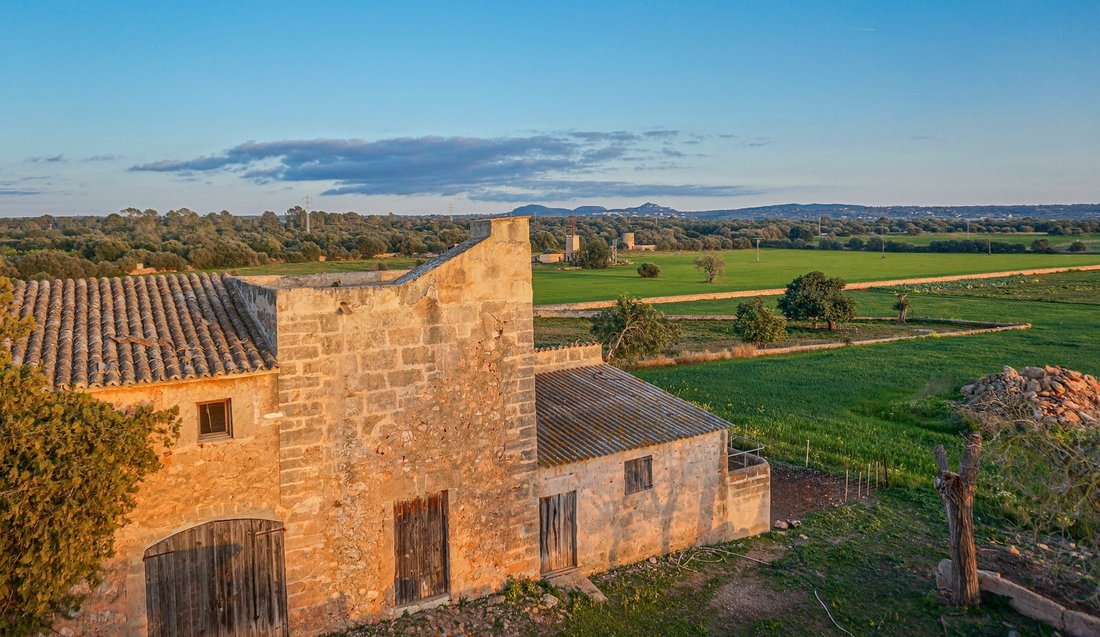 Finca a Palma di Maiorca, Isole Baleari, Spagna 1 - 16283749