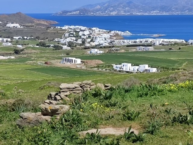 Land in Paros, Aegean, Greece 5 - 14509952