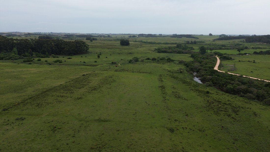 Land in San Carlos, Maldonado Department, Uruguay 2 - 16283750