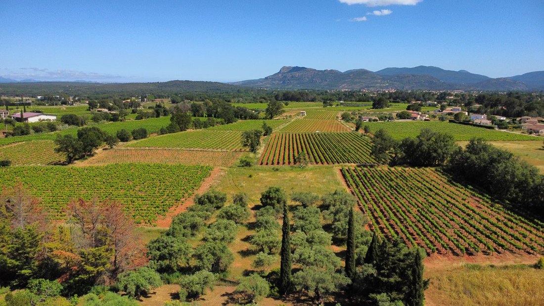 Estate in La Motte, Provence-Alpes-Côte d'Azur, France 4 - 16287596