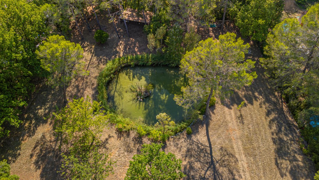 Villa in Flayosc, Provence-Alpes-Côte d'Azur, France 4 - 16287390