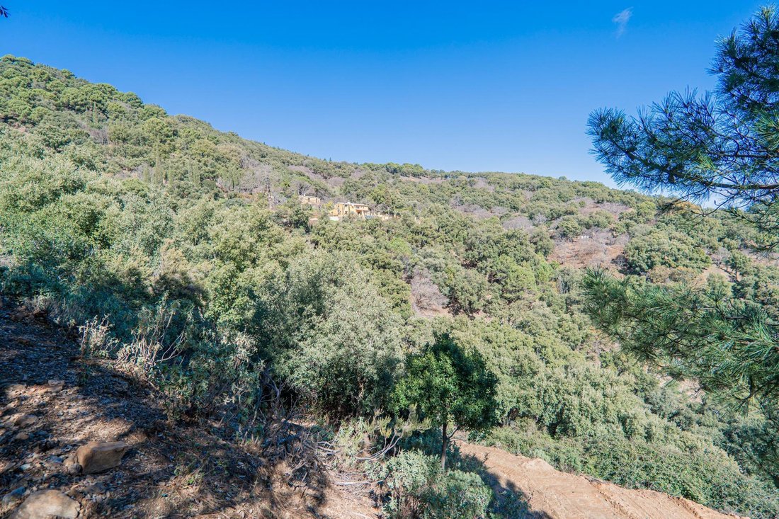 Country House in Jubrique, Andalusia, Spain 2 - 16287862