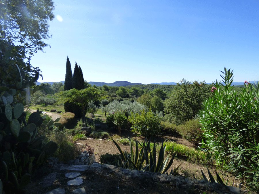 House in Callas, Provence-Alpes-Côte d'Azur, France 4 - 16286899