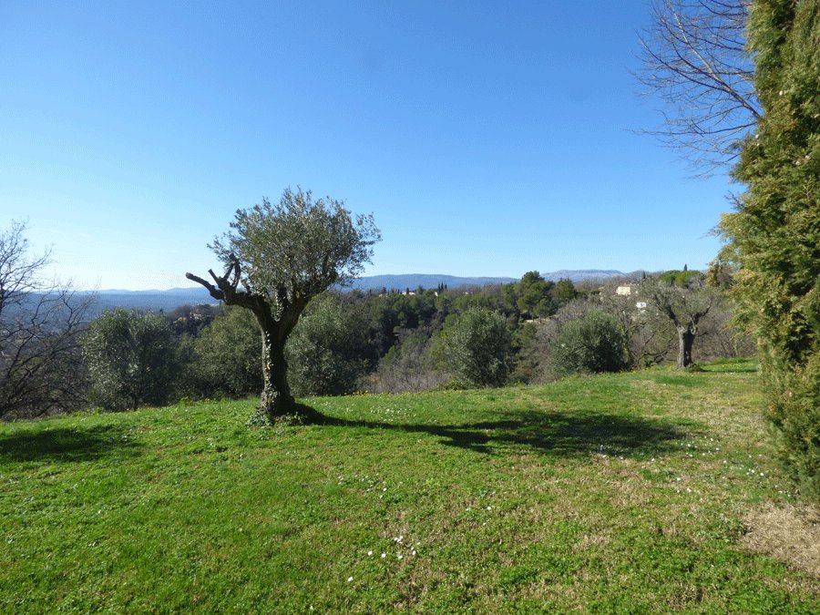 House in Montauroux, Provence-Alpes-Côte d'Azur, France 3 - 16286540