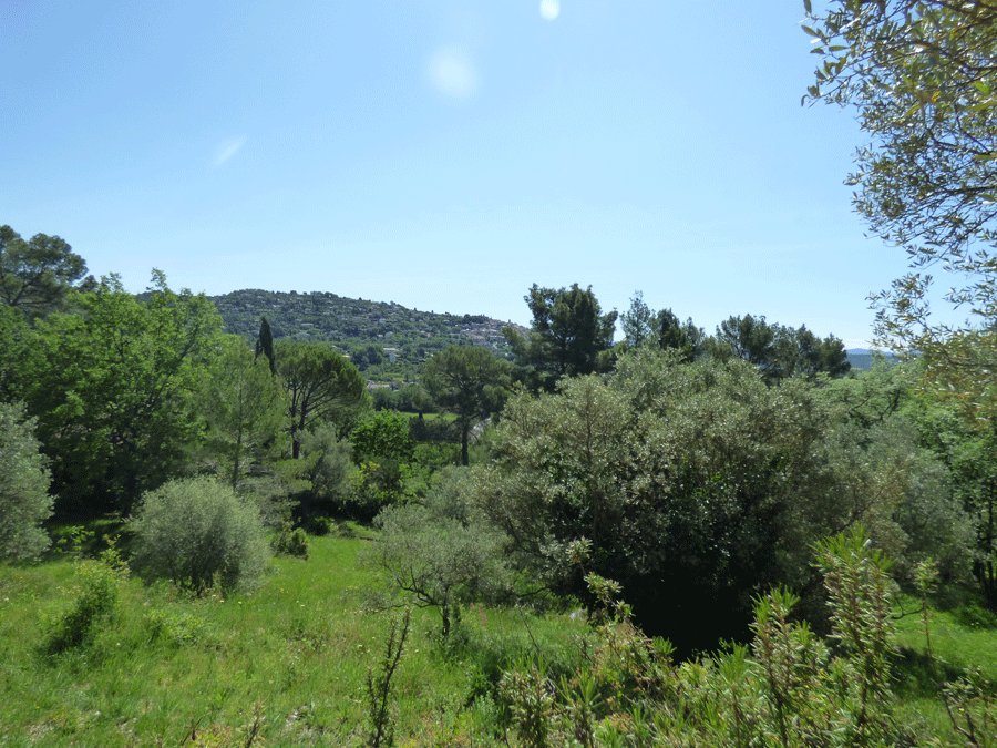 House in Fayence, Provence-Alpes-Côte d'Azur, France 2 - 16287441