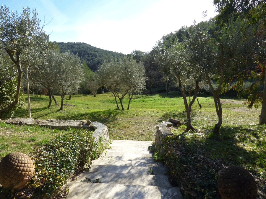 House in Claviers, Provence-Alpes-Côte d'Azur, France 4 - 16287276