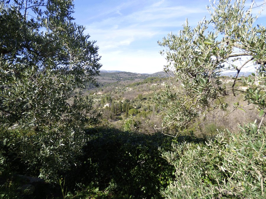 House in Fayence, Provence-Alpes-Côte d'Azur, France 5 - 16287496